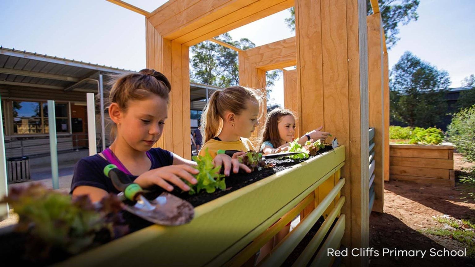 Red Cliffs Primary School - Inclusive Schools Fund, completed outdoor sensory play space