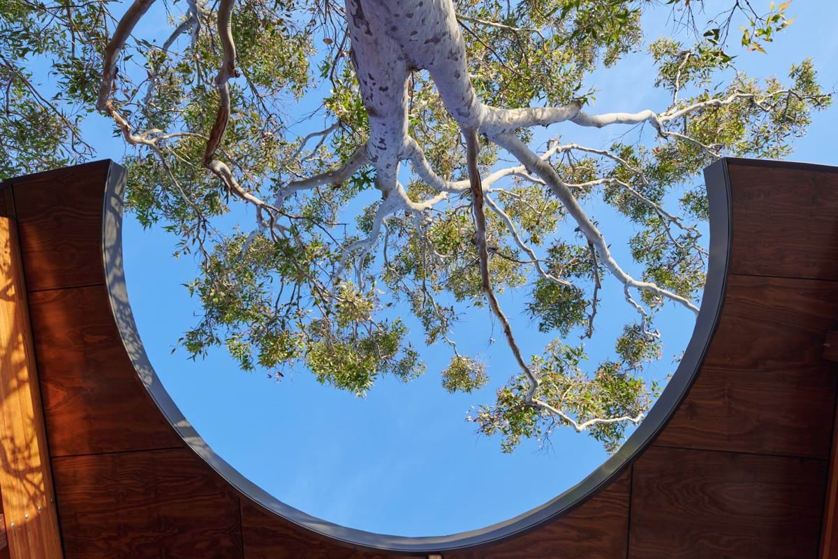 Photo of a tree at the centre