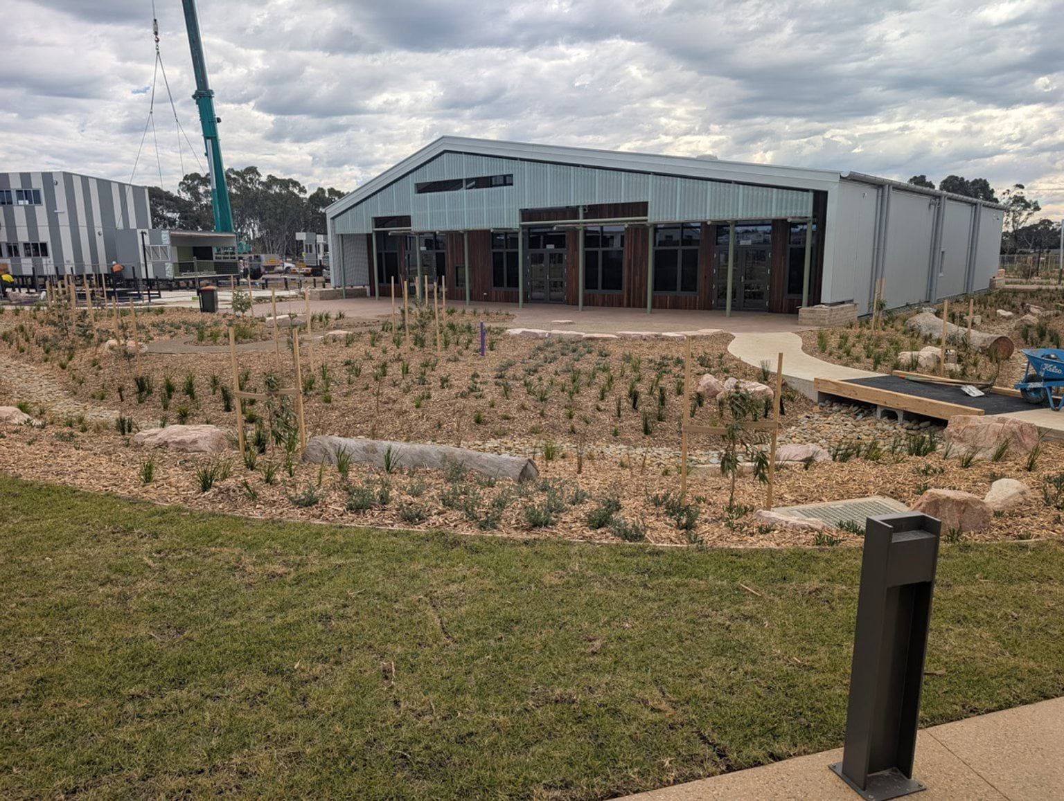 Landscaping out the front of the school with new shrubs surrounded by tanbark and grass