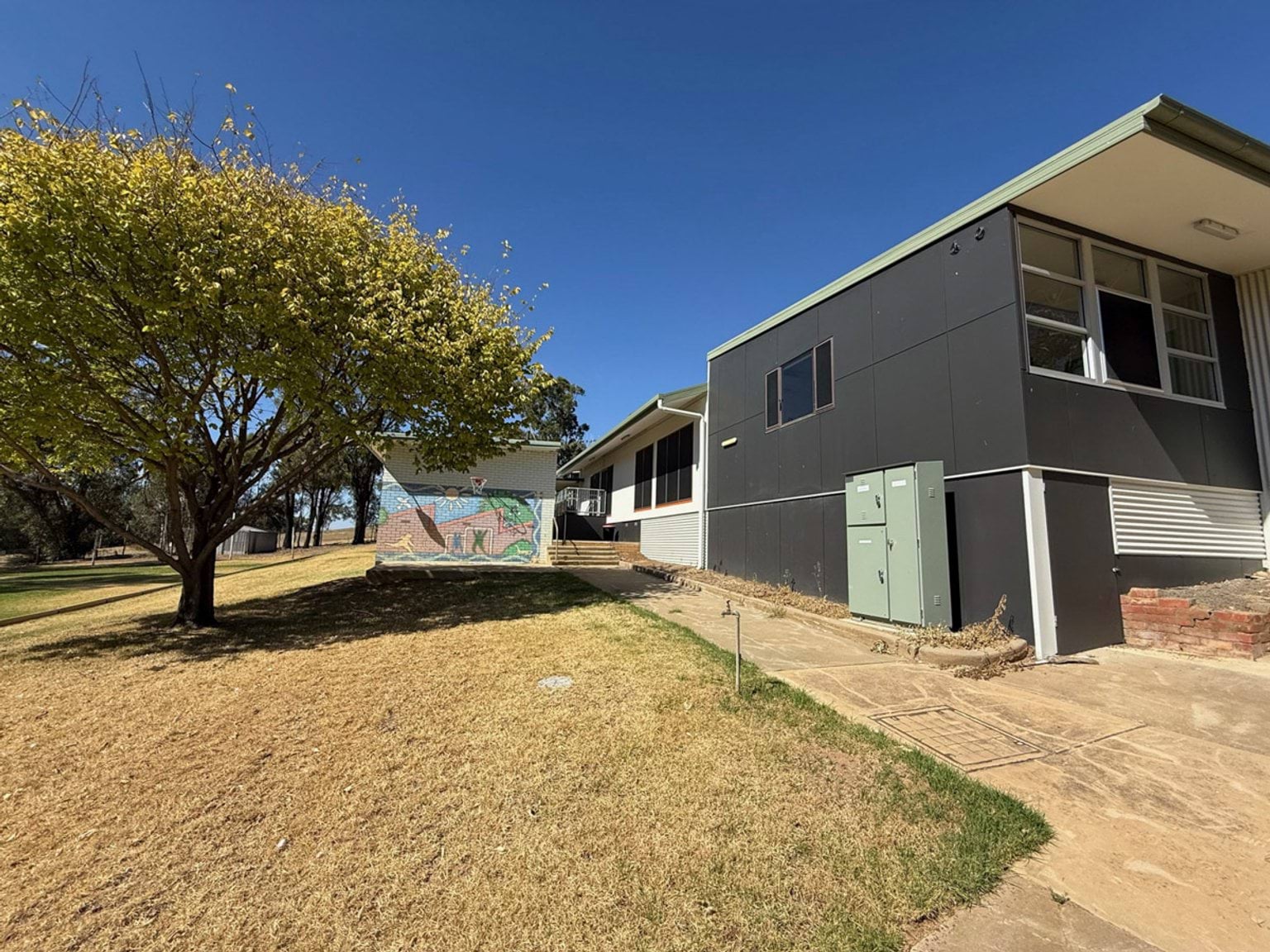 Side of school building with black walls. It is next to a path, with grass and a tree nearby. In the background there is an art mural.