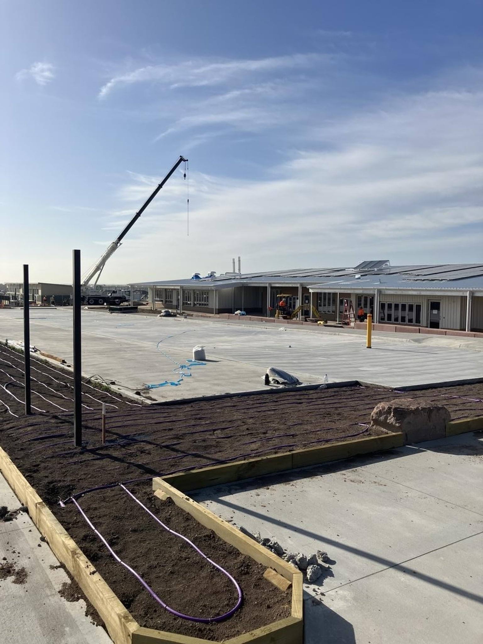 Timber framing around paths between concrete slabs. 