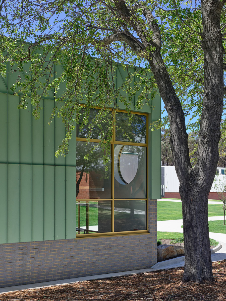 Close-up of a school building with green cladding, grey brickwork, and a round window framed by yellow trim. A tree partially shades the facade.