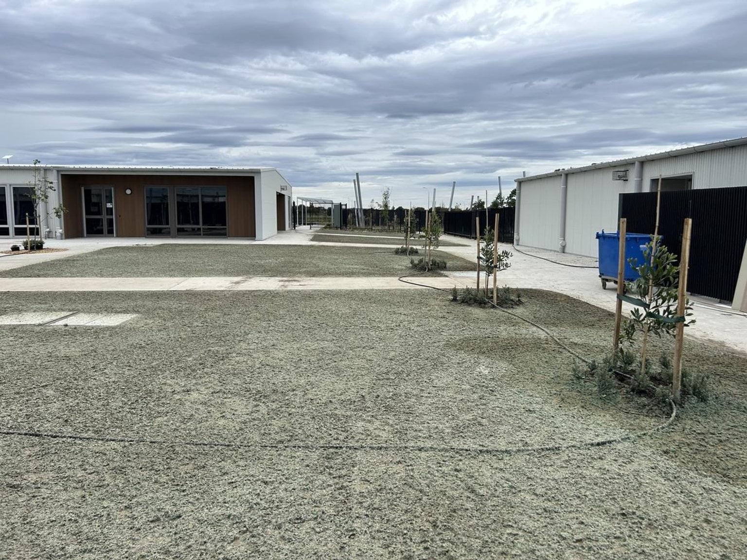 An open outdoor space with fresh turf, young trees, and concrete paths leading to white and timber school buildings.