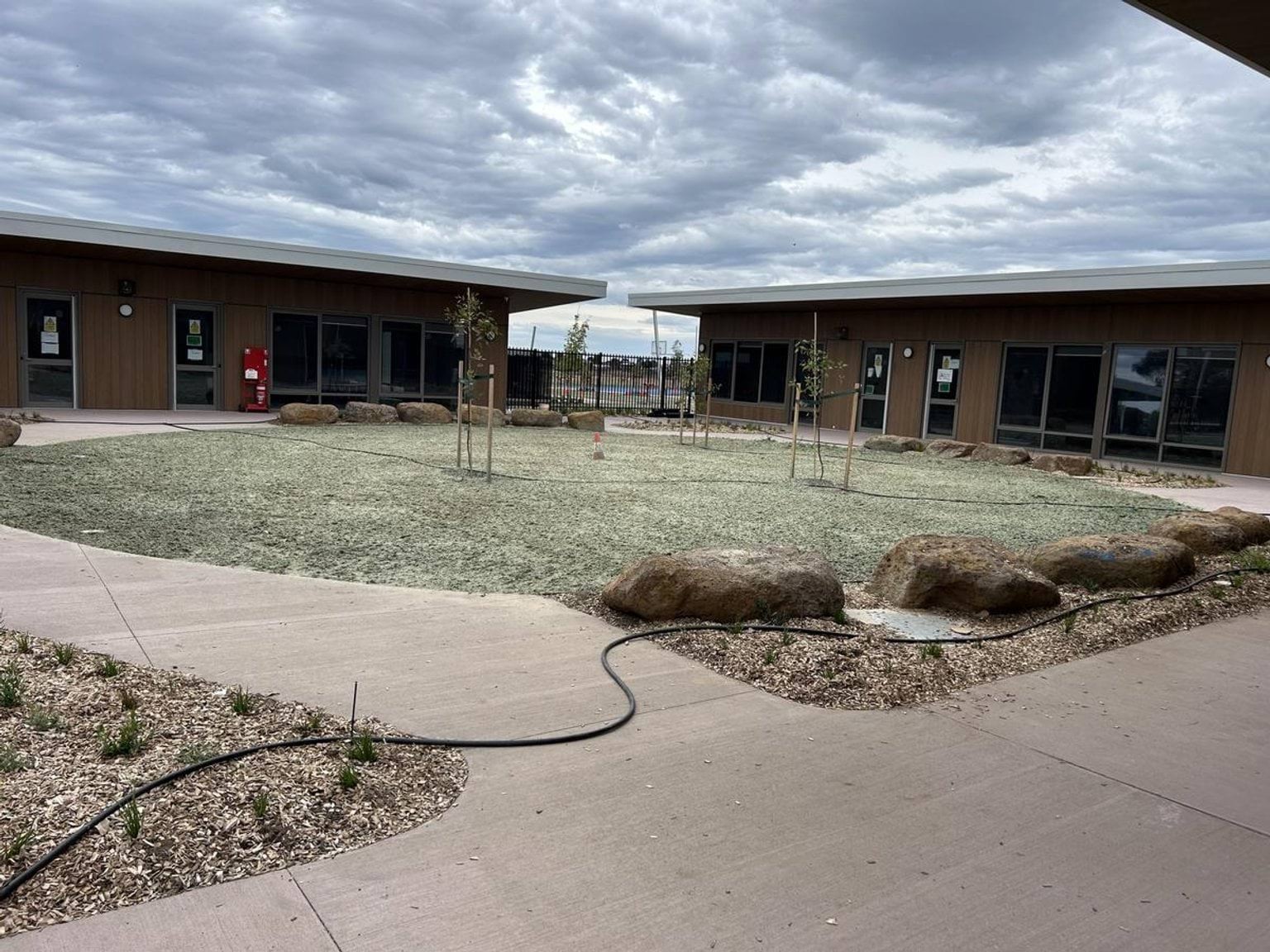 A landscaped courtyard with young trees, large rocks, and garden beds between timber-clad school buildings with wide windows.