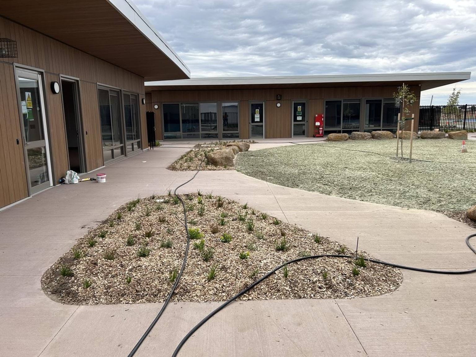 A landscaped courtyard with garden beds and small plants surrounded by school buildings with large windows.