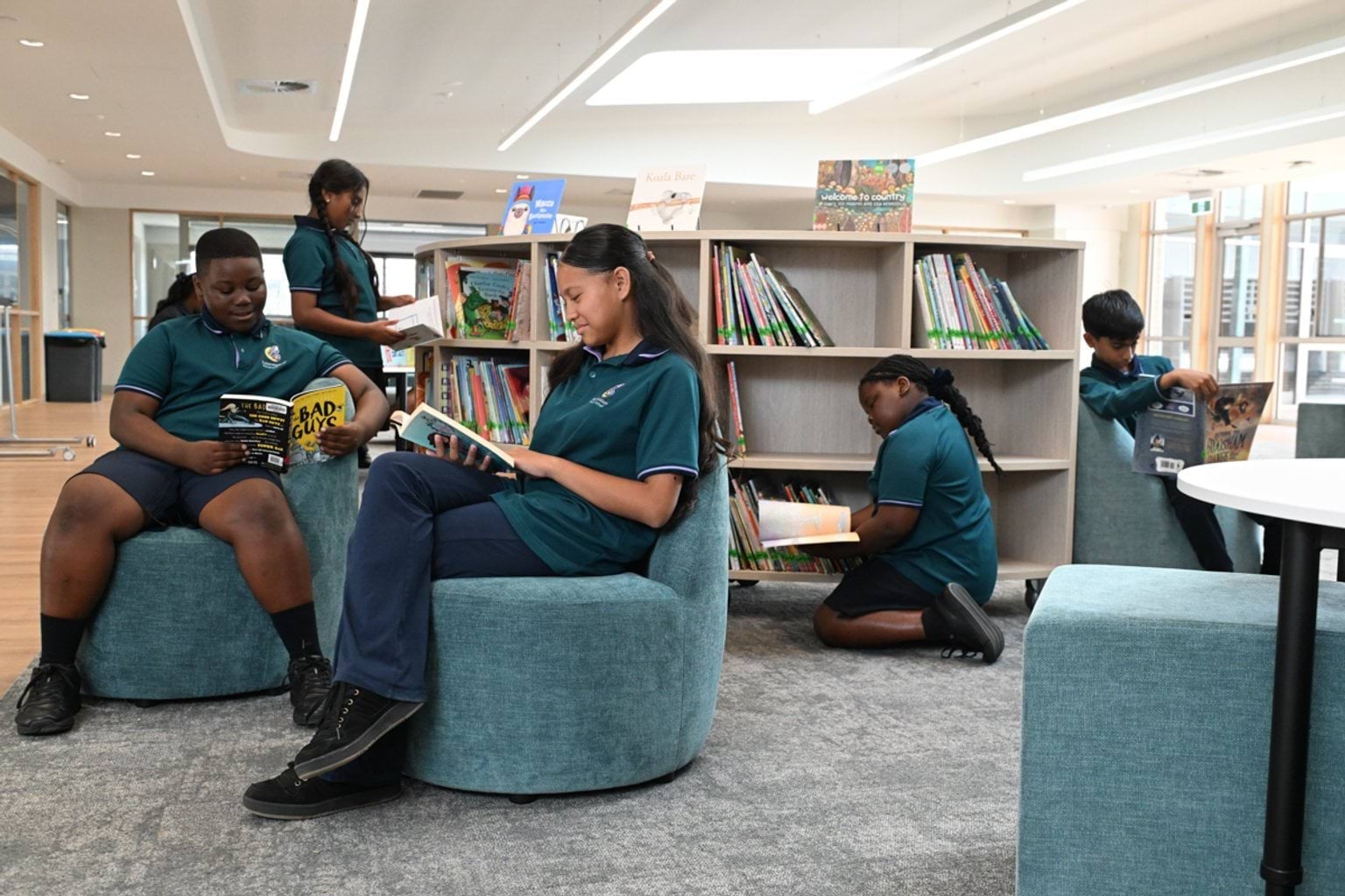 Sitting in the library