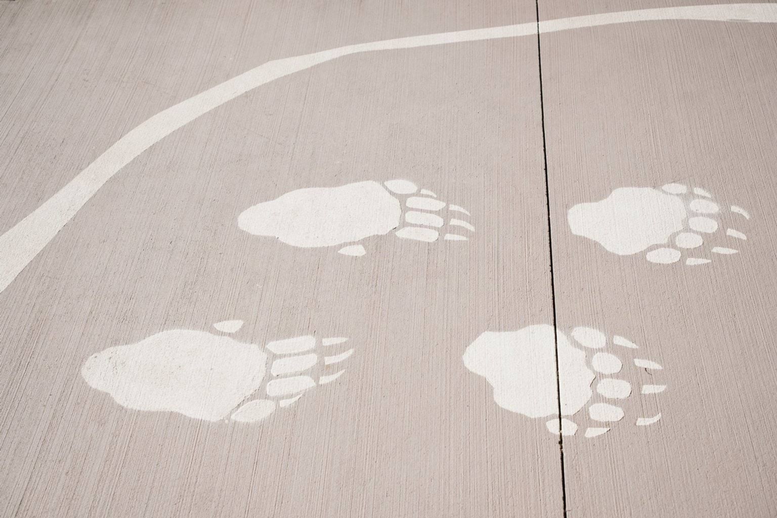 Paved area with artwork of animal tracks